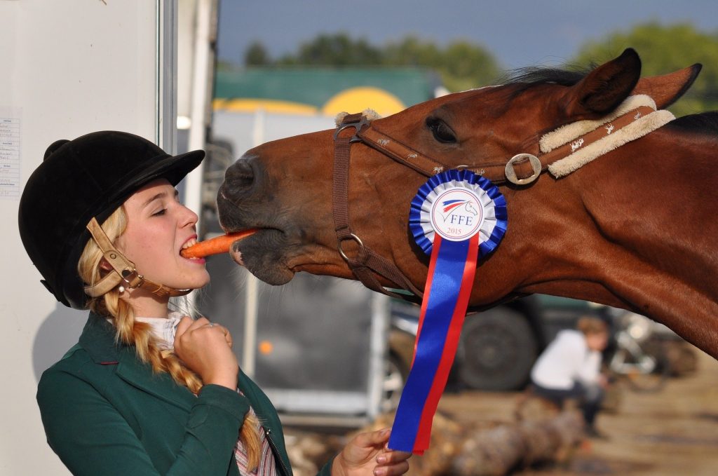 Horse and rider share a carrot at a competition